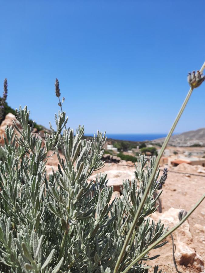 Villa Adeiata Adiata Bagian luar foto